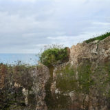 La Possibilité d'un paysage #2